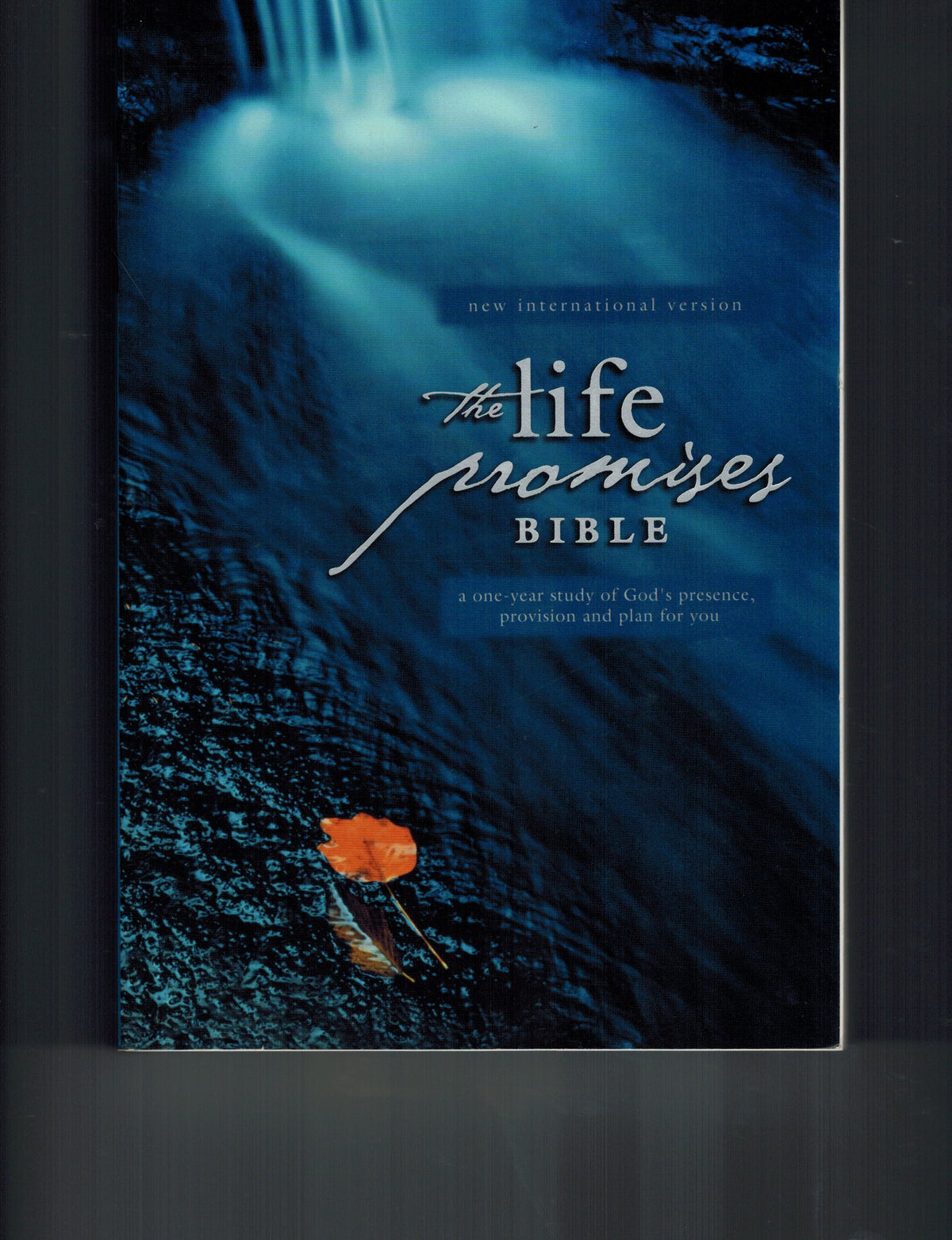 Life Promises Bible, The