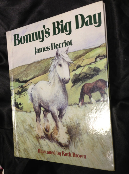 Bonny's Big Day