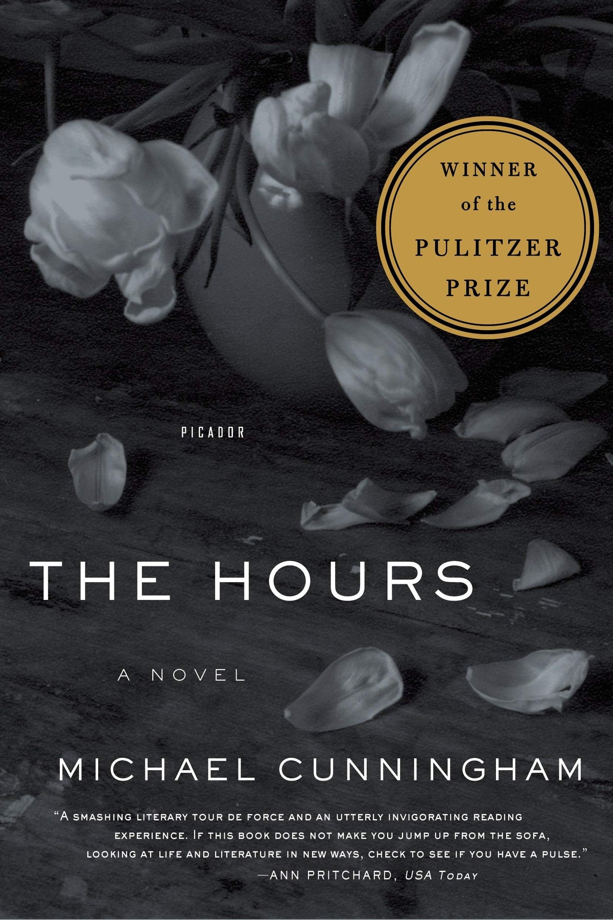THE HOURS: A NOVEL (PICADOR MODE