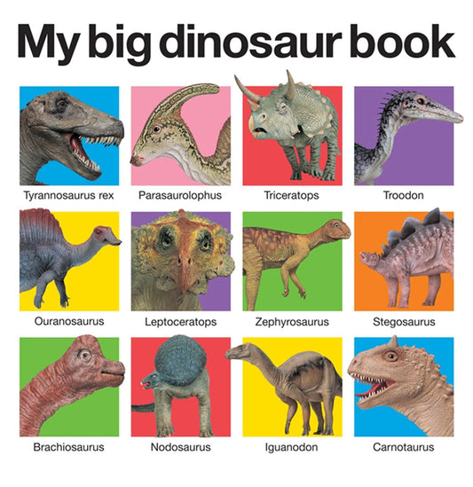 My Big Dinosaur Book (My Big Board Books) - 1493