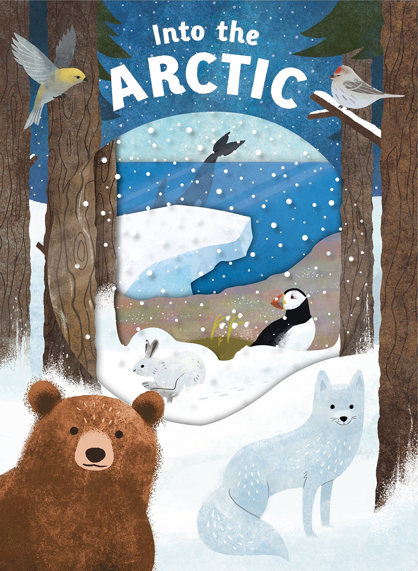 Look Closer: Into the Arctic: [With Transparent Pages]