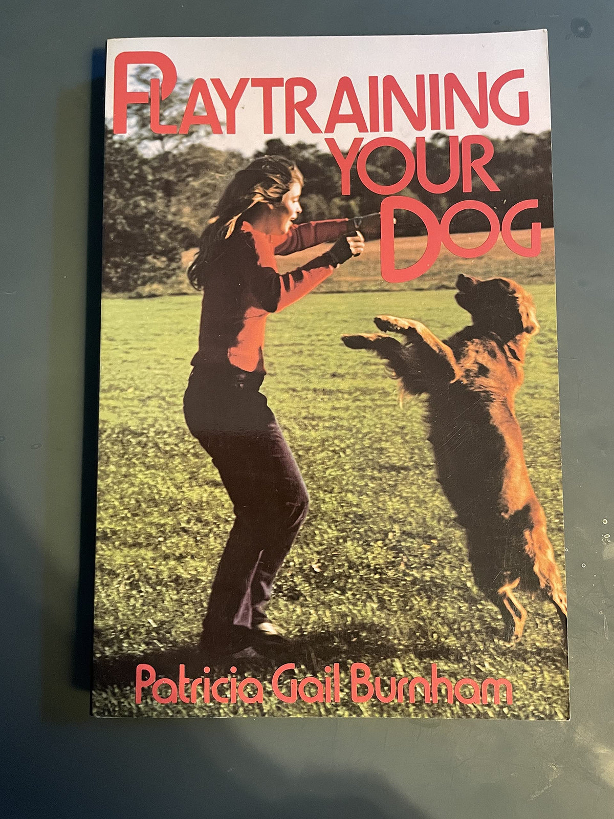 Playtraining your dog