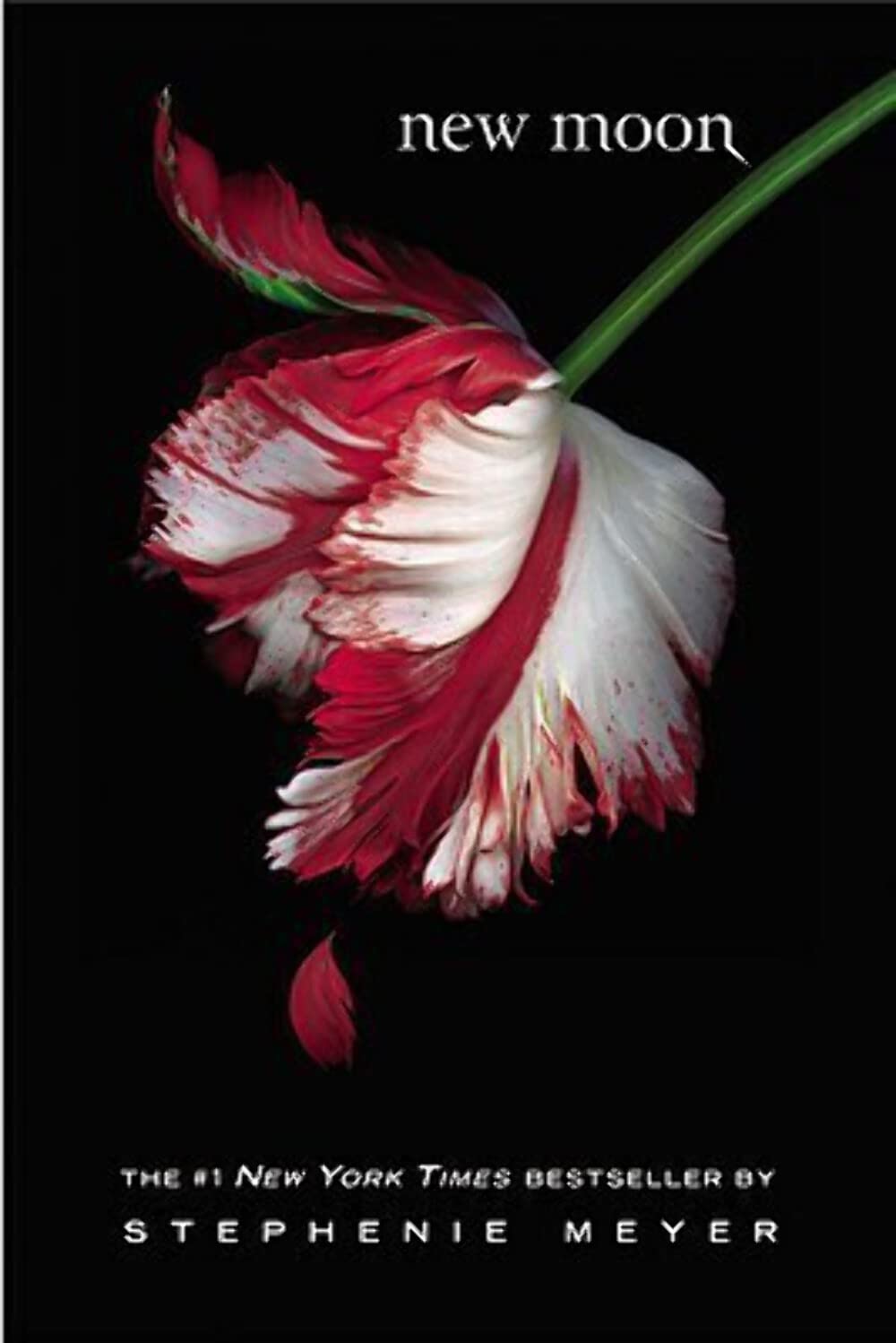 New Moon (The Twilight Saga) - 538