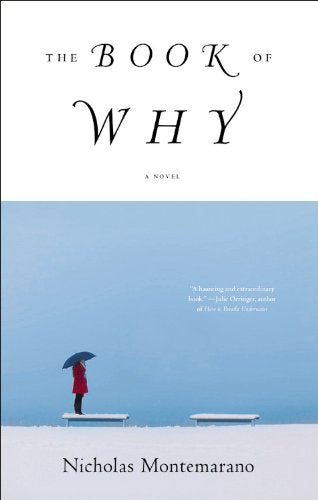 The Book of Why