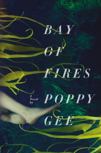 Bay of Fires: A Novel - 2472