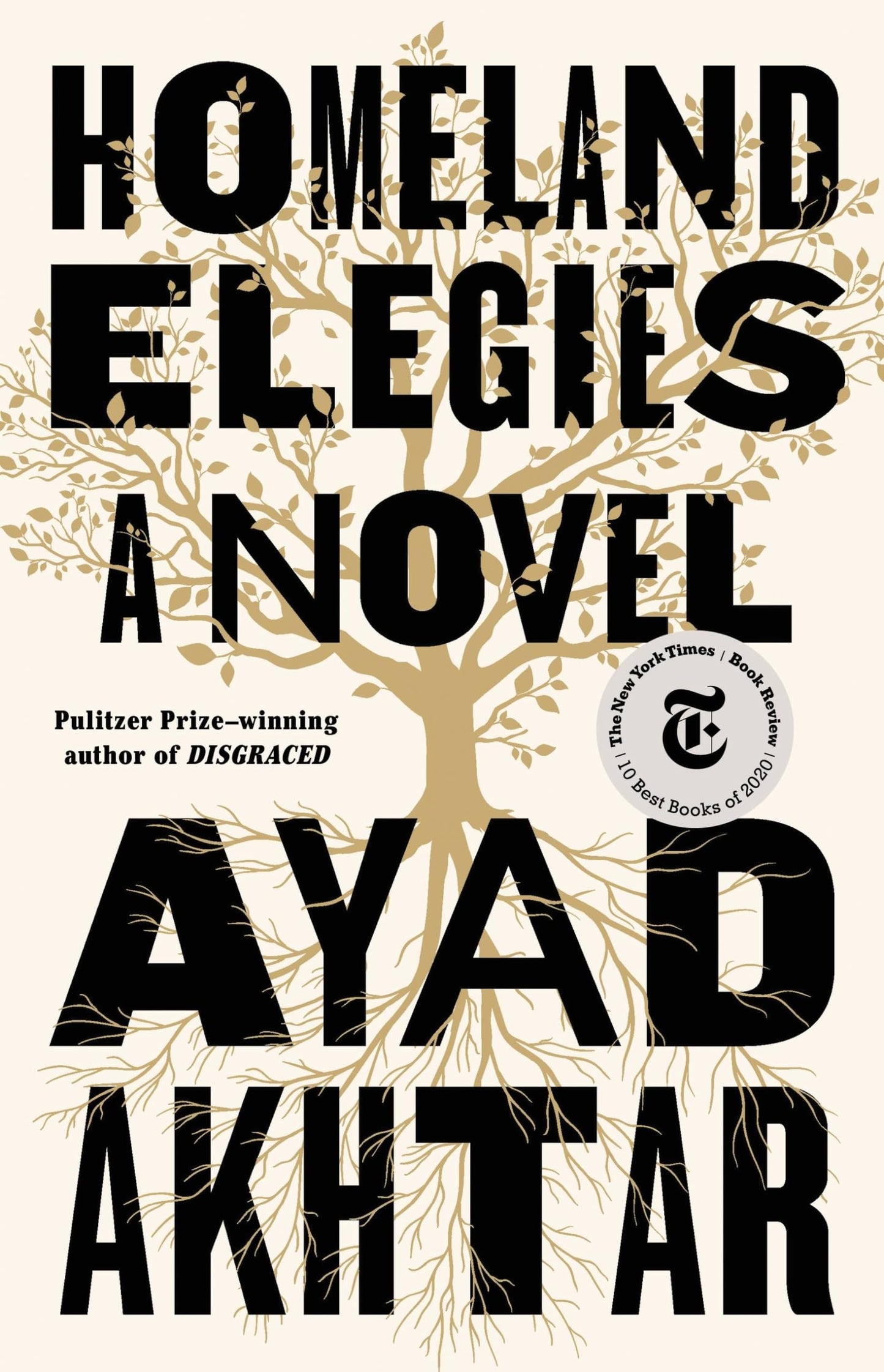 Homeland Elegies: A Novel - 708