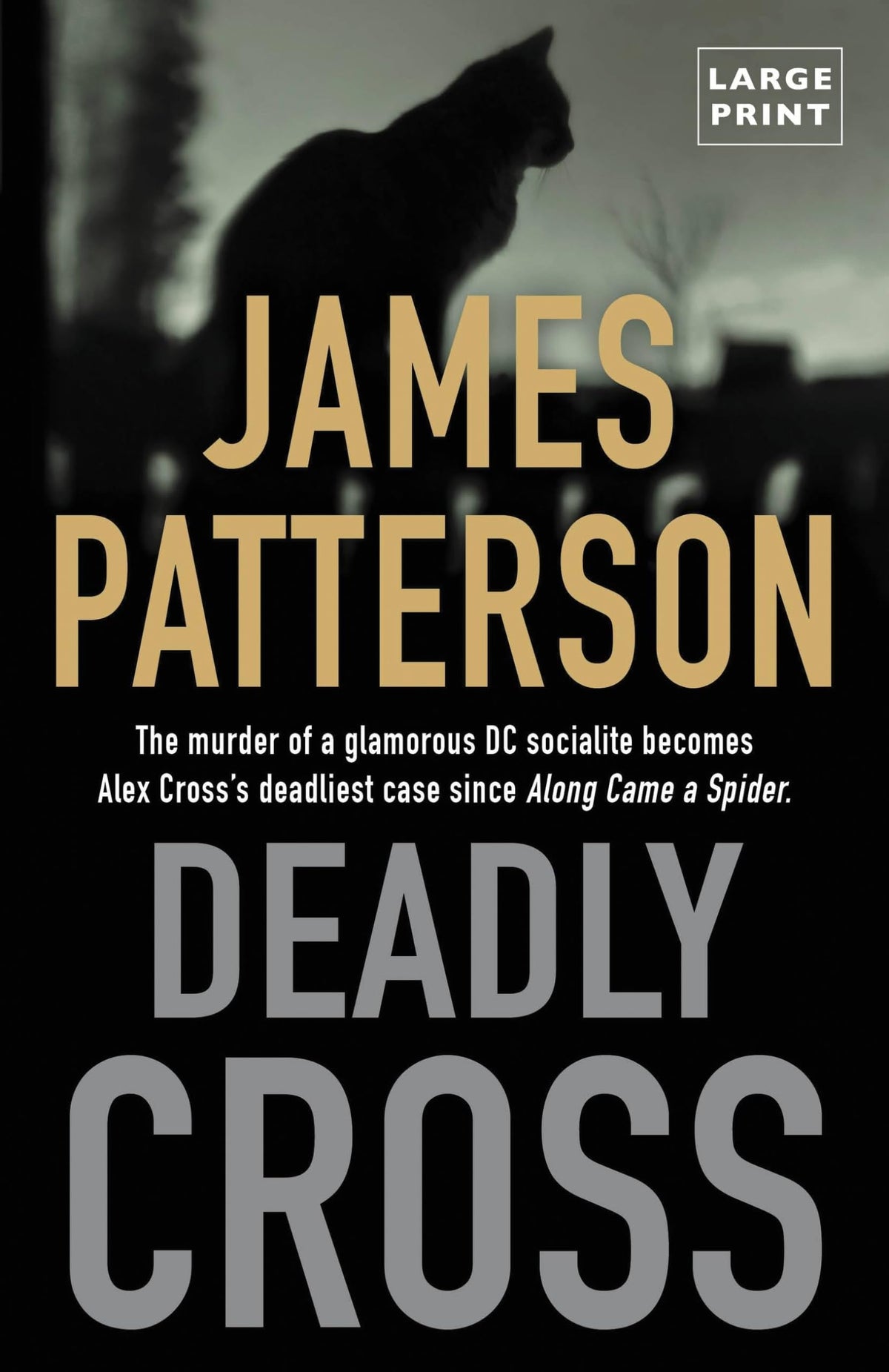 Deadly Cross (Alex Cross, 26)