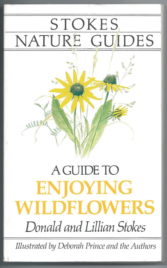 A Guide to Enjoying Wildflowers