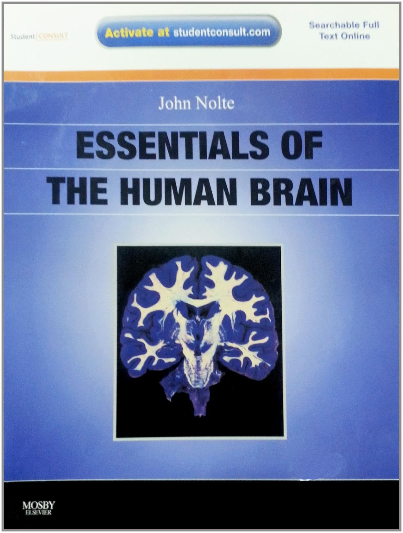 Essentials of the Human Brain: With STUDENT CONSULT Online Access - 3854