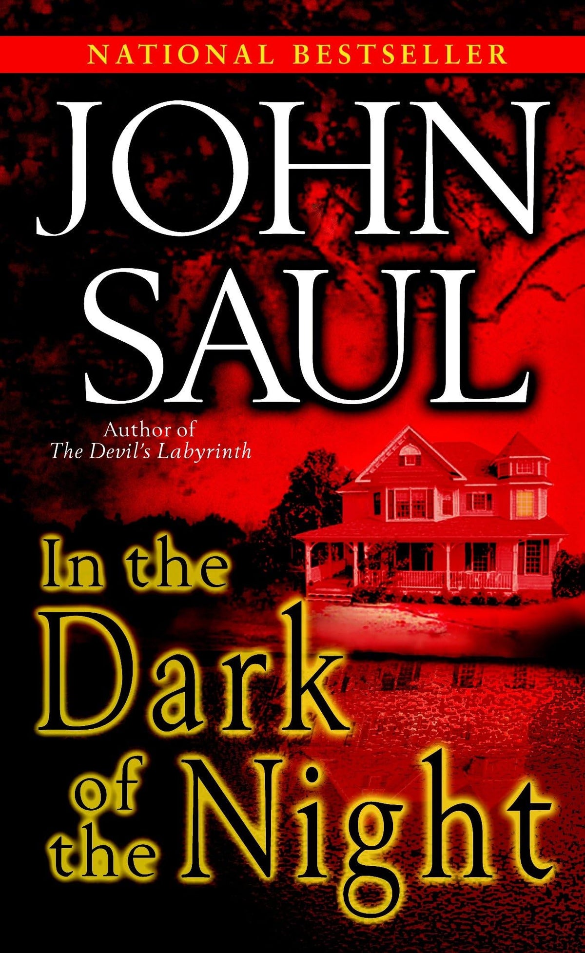 In the Dark of the Night: A Novel