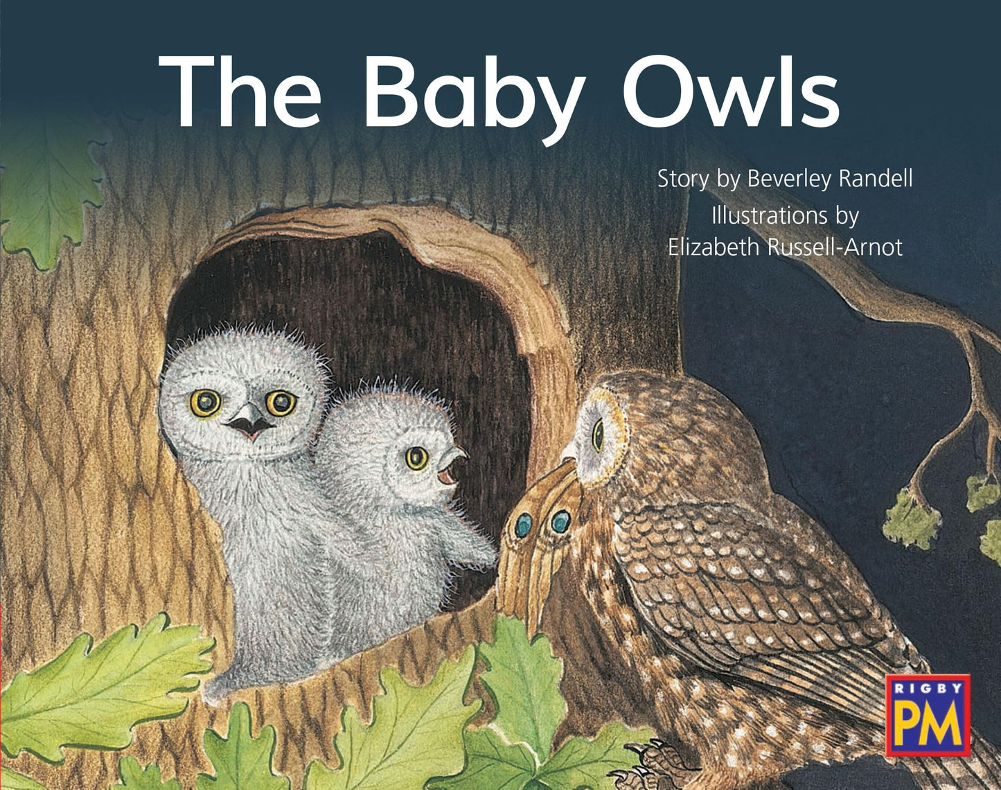 Baby Owls, The: Leveled Reader Red Fiction Level 4 Grade 1 (Rigby PM)