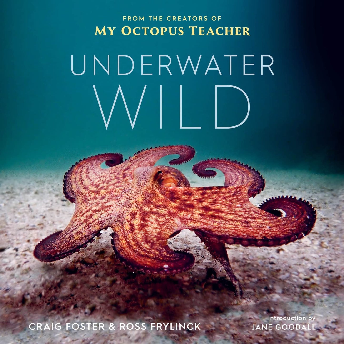 Underwater Wild: My Octopus Teacher's Extraordinary World - 8959