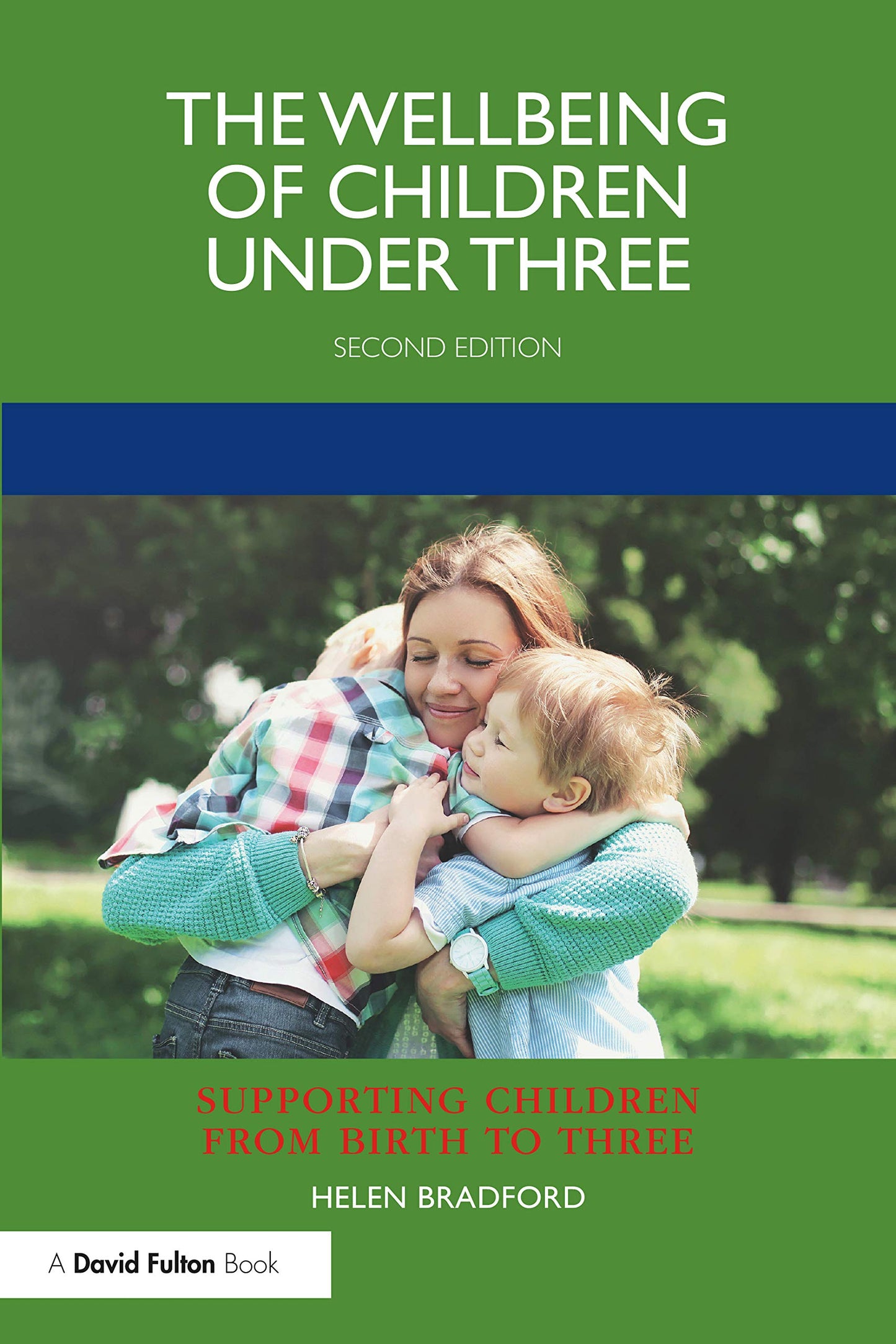 The Wellbeing of Children under Three (Supporting Children from Birth to Three)
