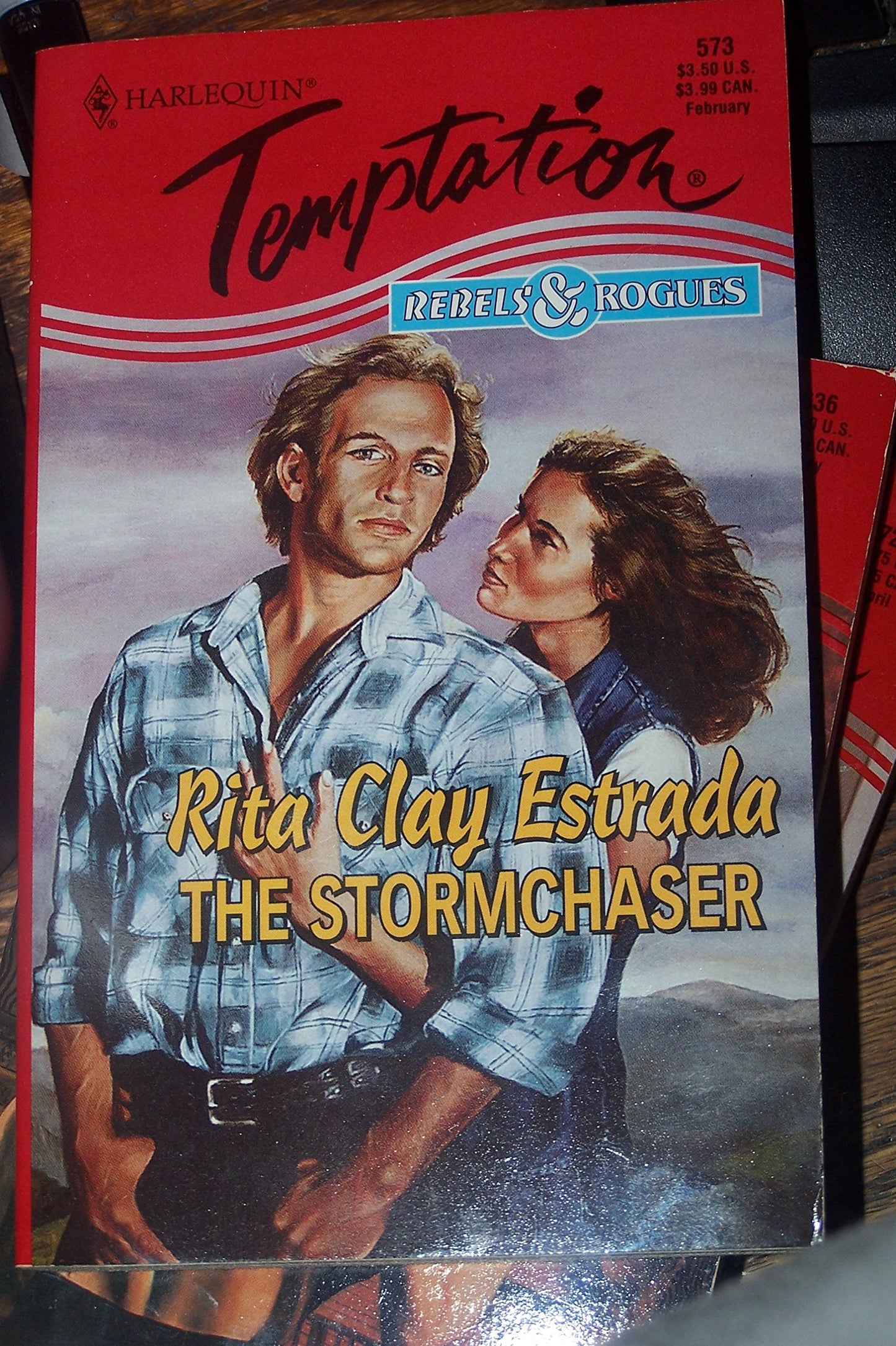 Stormchaser (Rebels And Rogues)
