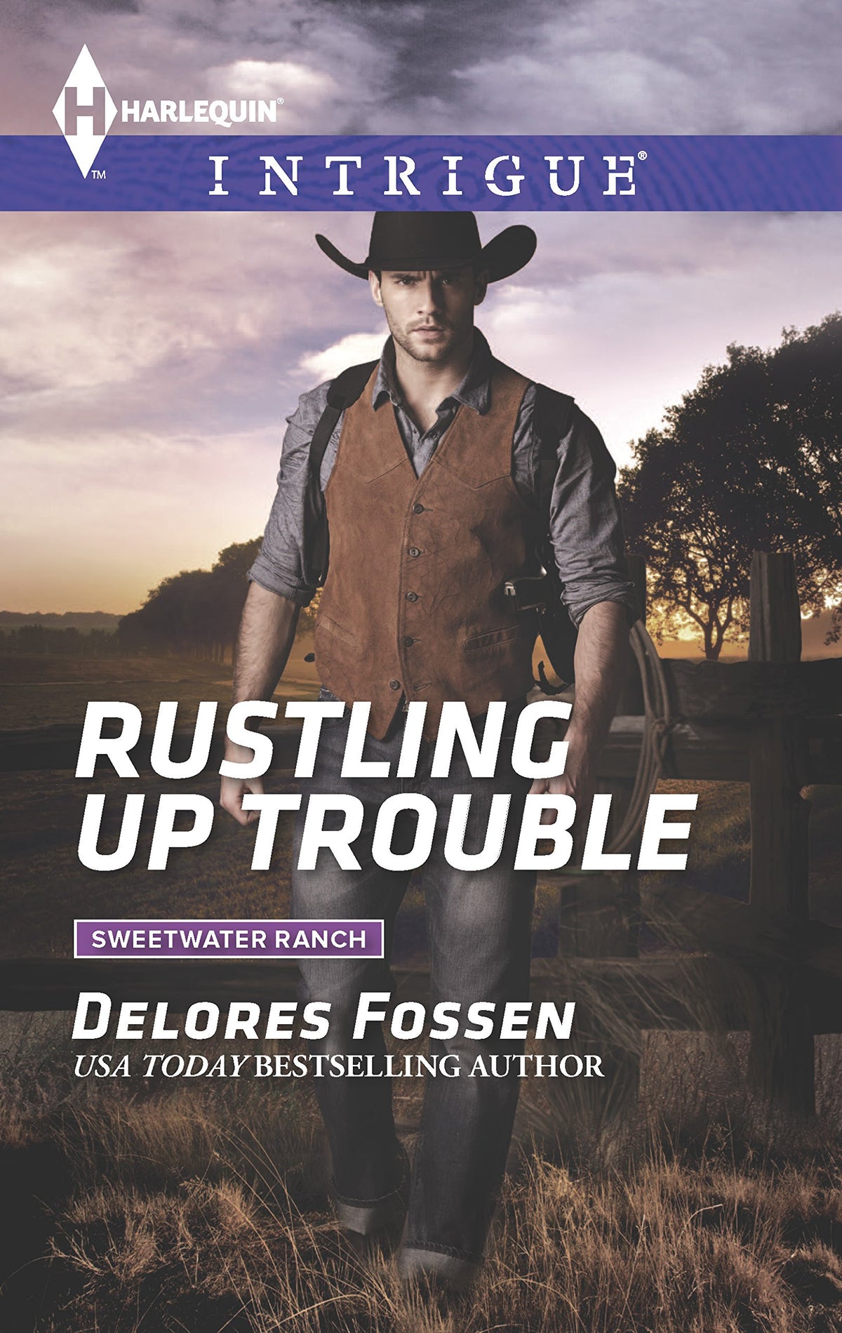 Rustling Up Trouble (Sweetwater Ranch, 3)