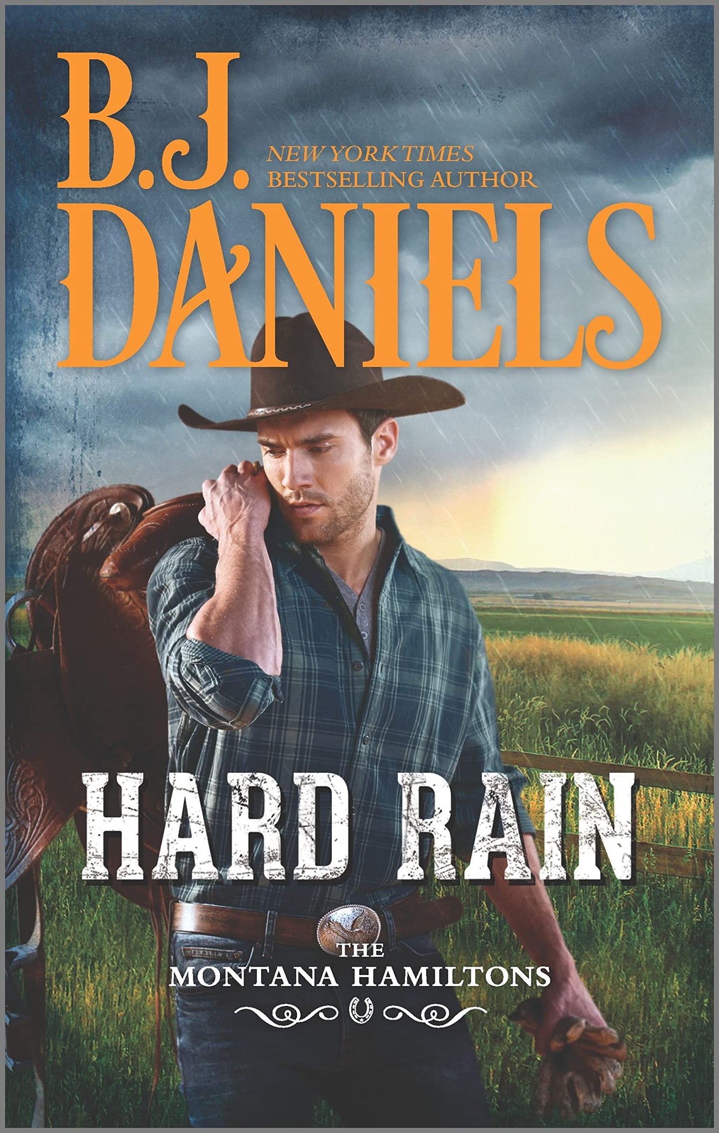 Hard Rain (The Montana Hamiltons) - 2323