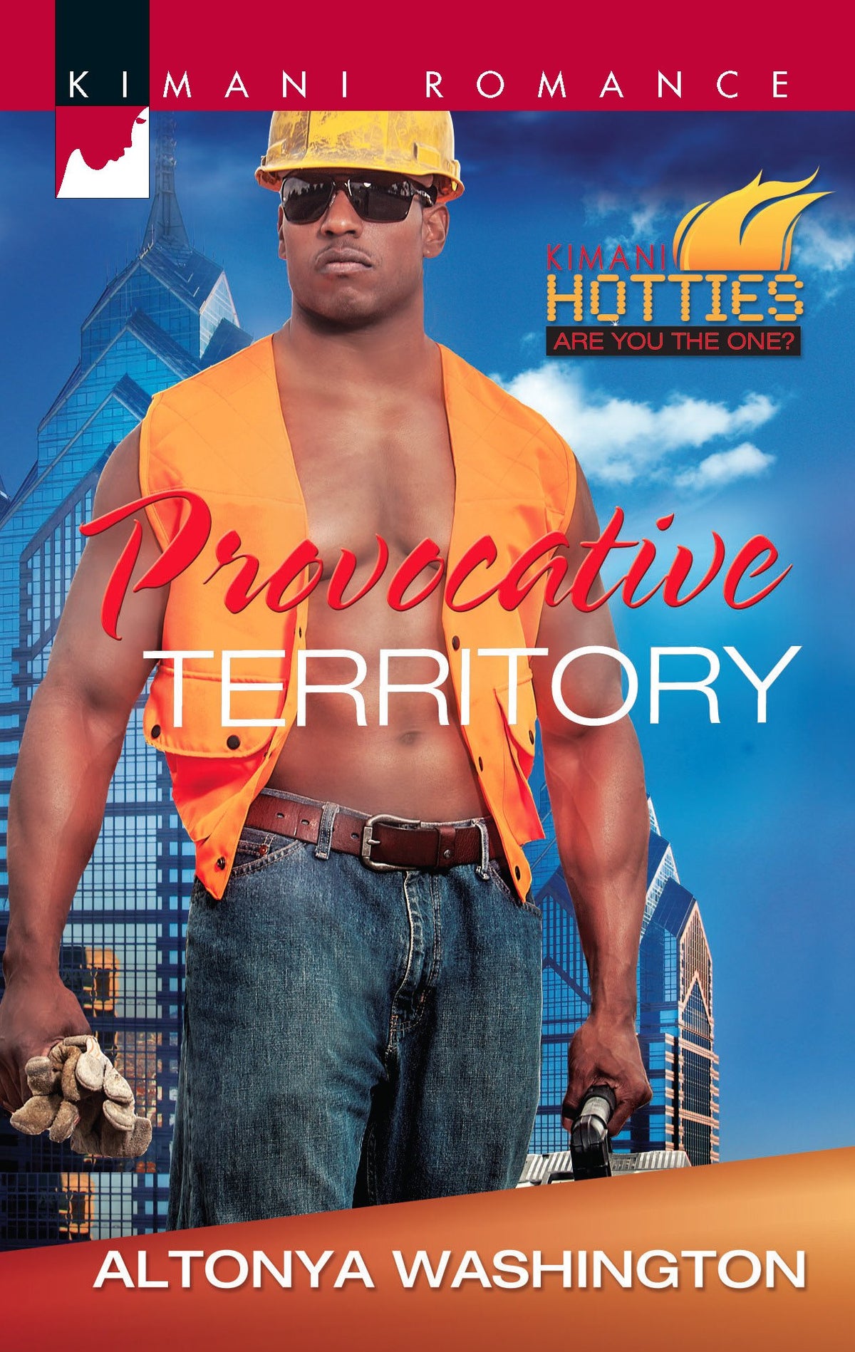 Provocative Territory (Kimani Hotties)