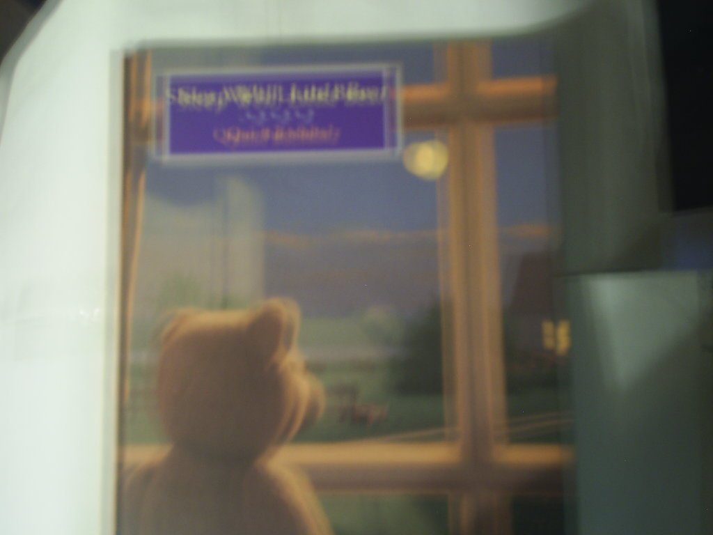 Sleep Well, Little Bear