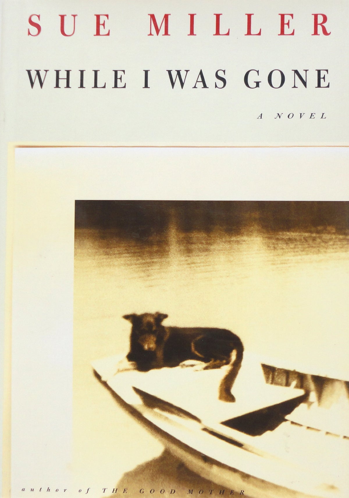 WHILE I WAS GONE
