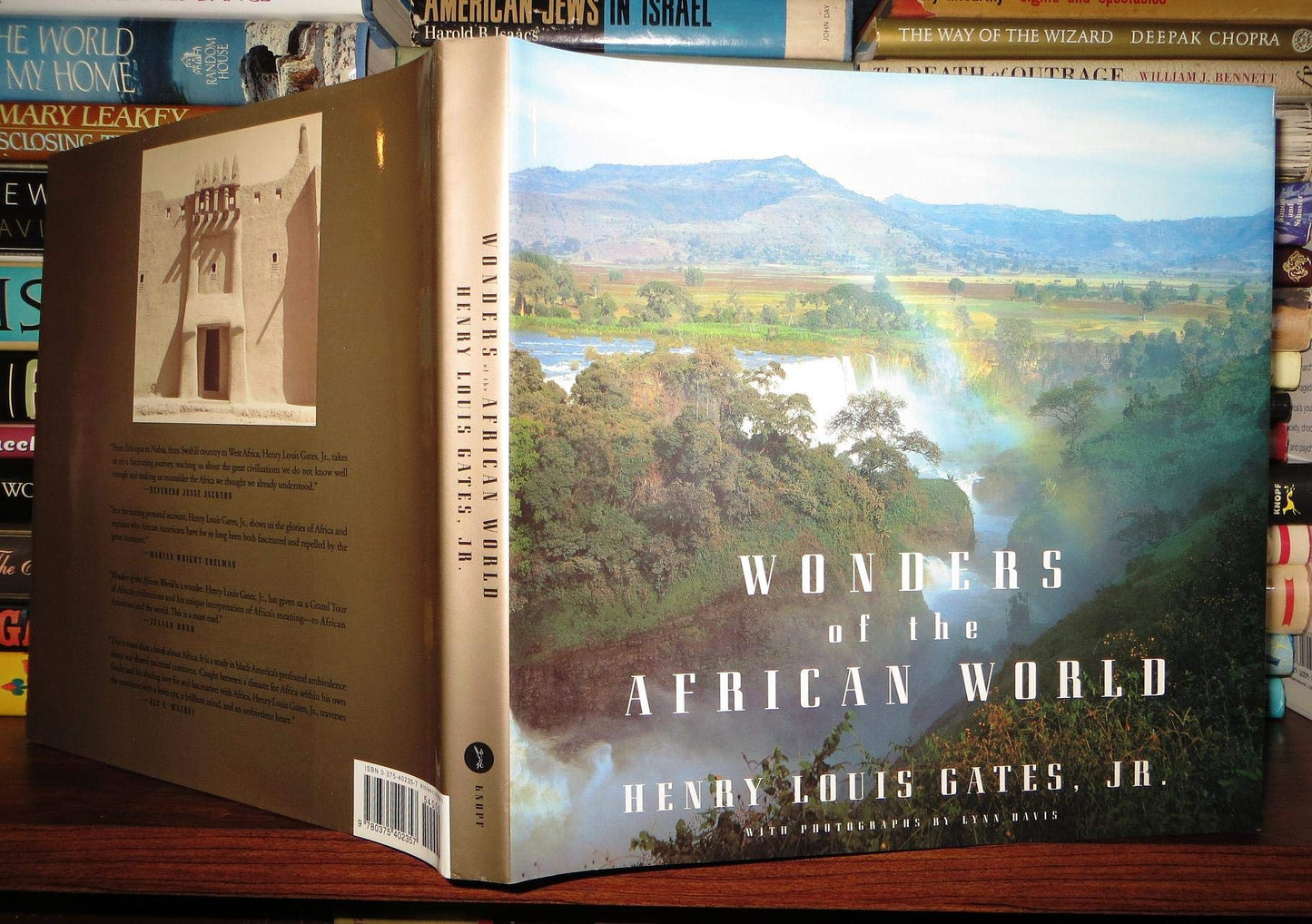 Wonders of the African World