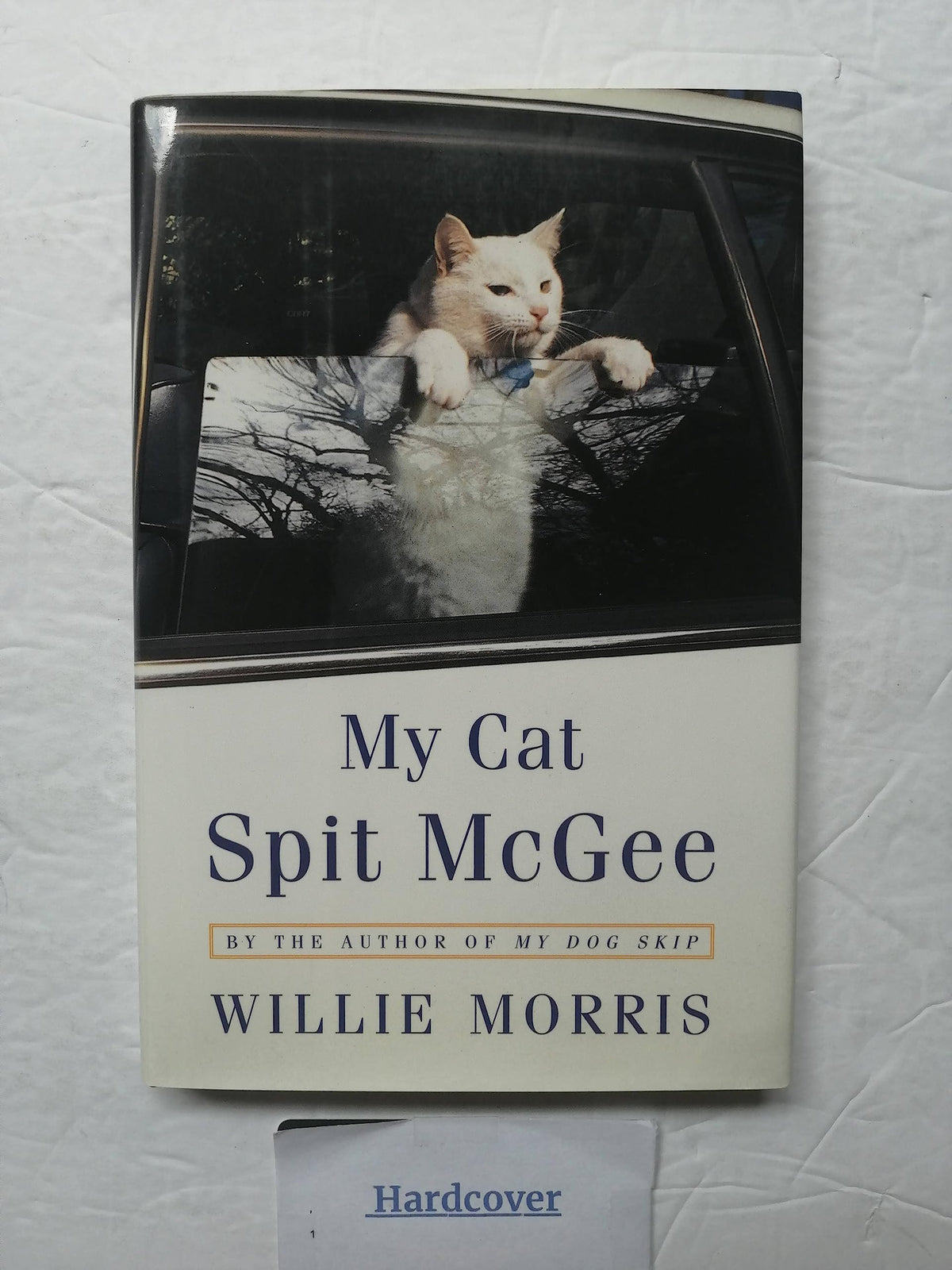 My Cat Spit McGee