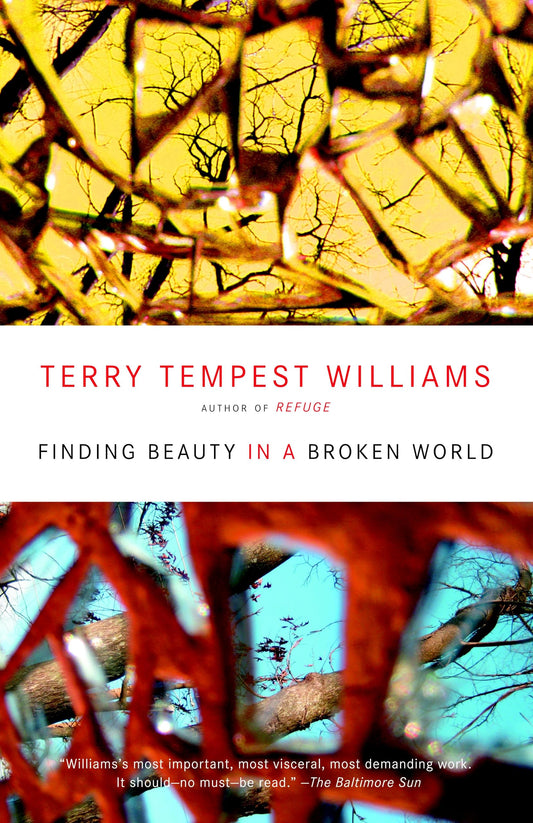 Finding Beauty in a Broken World - 6173