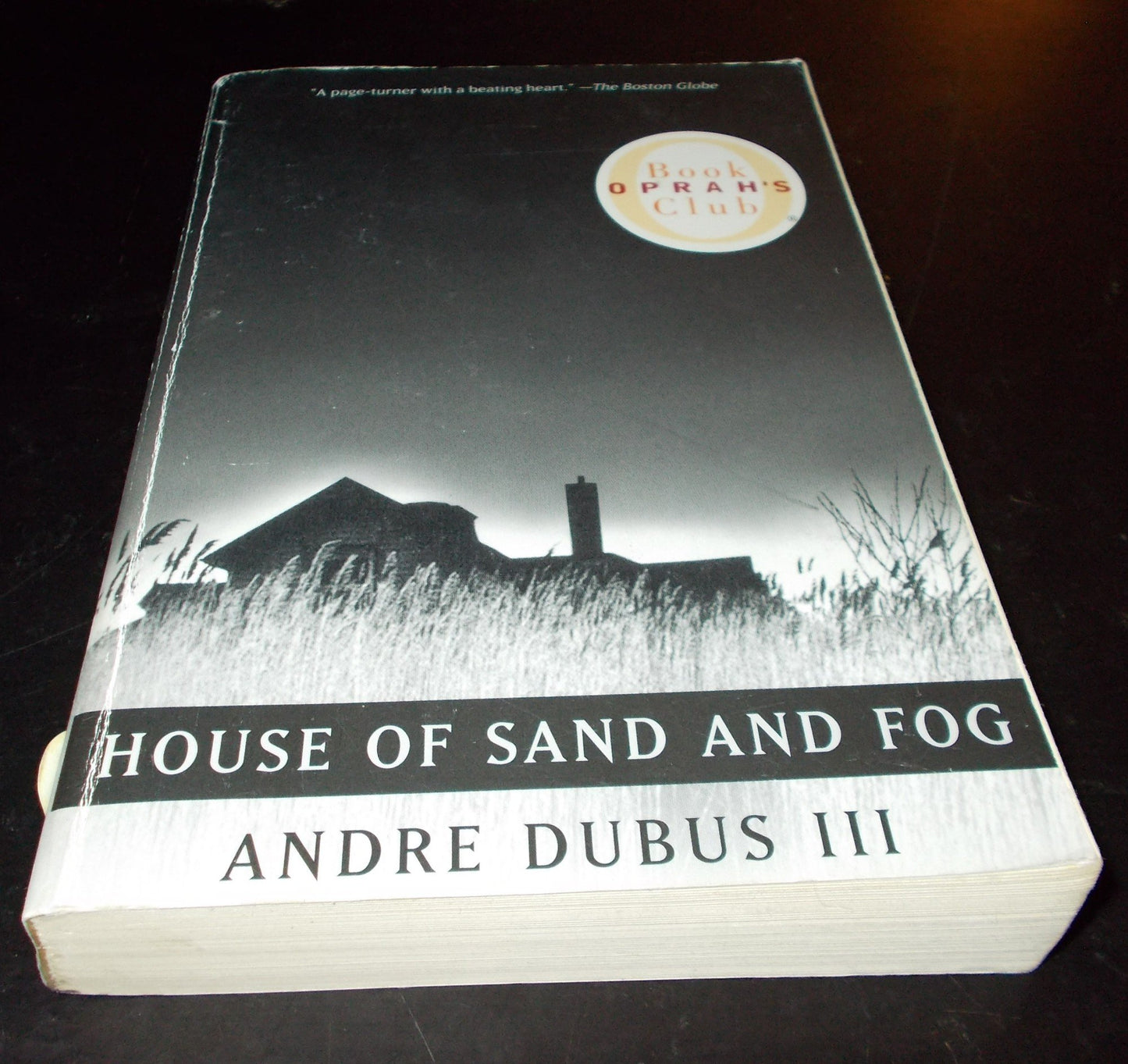 House of Sand and Fog (Oprah's Book Club) (Vintage Contemporaries)