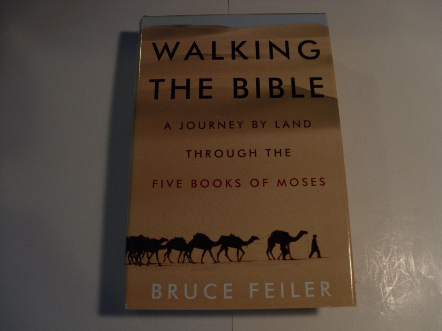 Walking the Bible: A Journey by Land Through the Five Books of Moses - 415