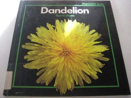Dandelion (Stopwatch Series) - 9986