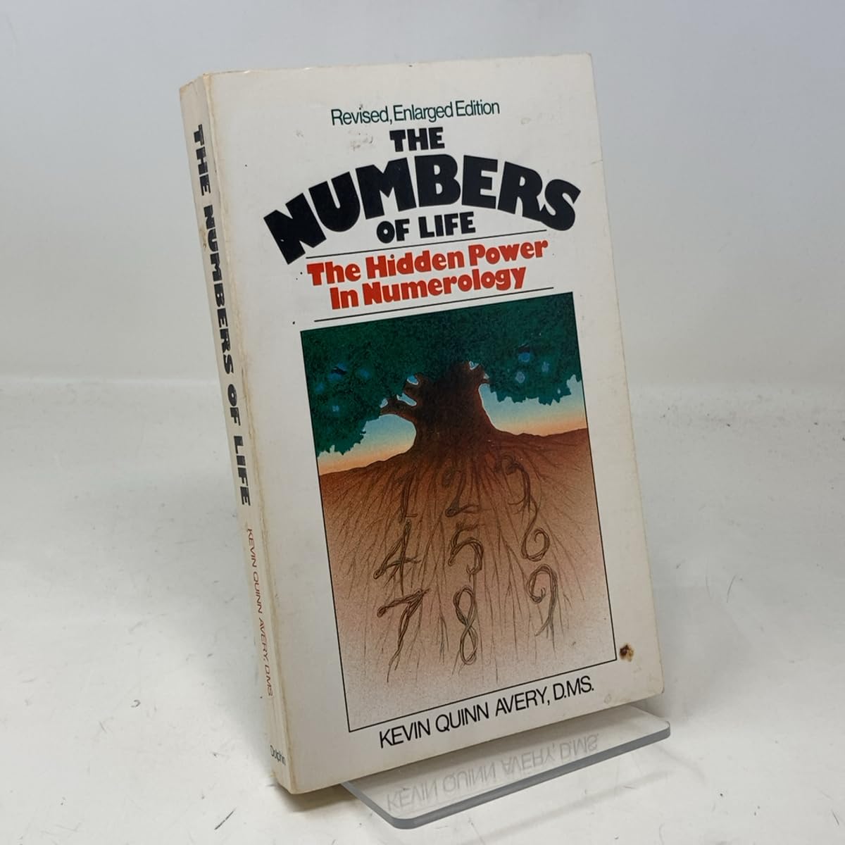 The Numbers of Life: The Hidden Power in Numerology