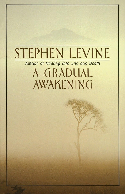 A Gradual Awakening - 6174