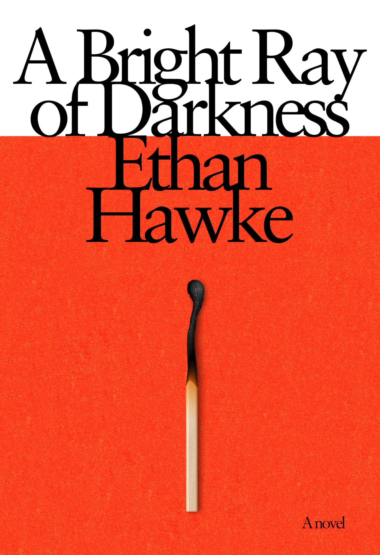 A Bright Ray of Darkness: A novel - 3511