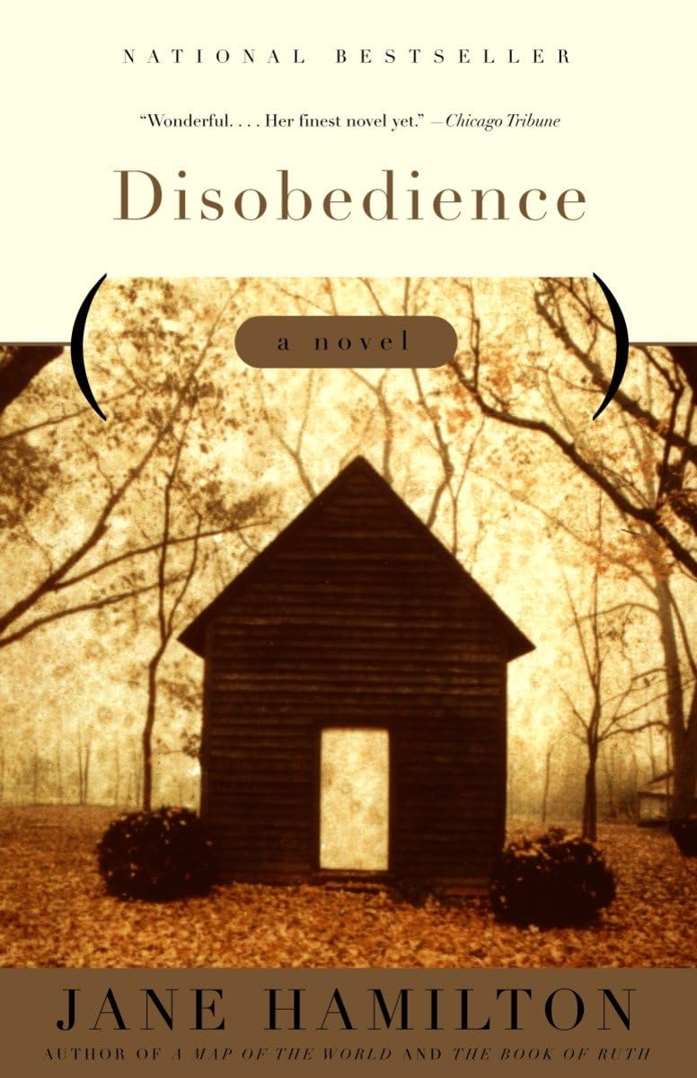 Disobedience: A Novel