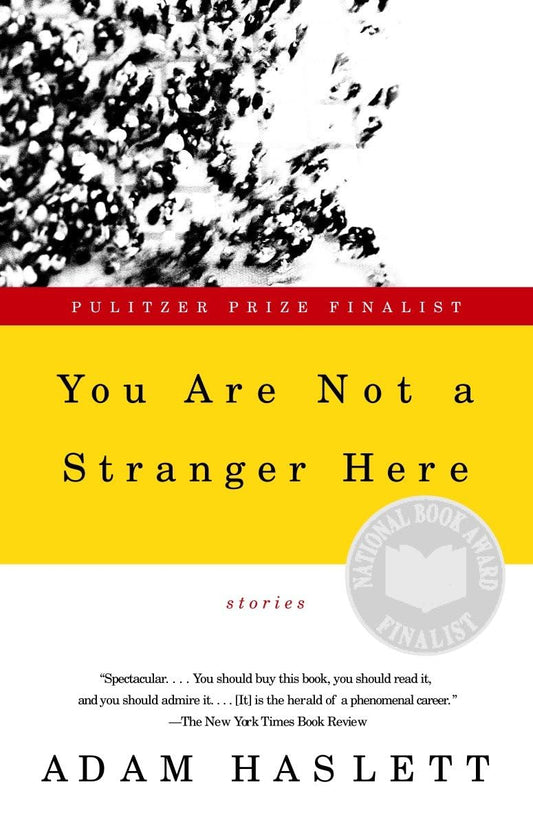 You Are Not a Stranger Here: Stories