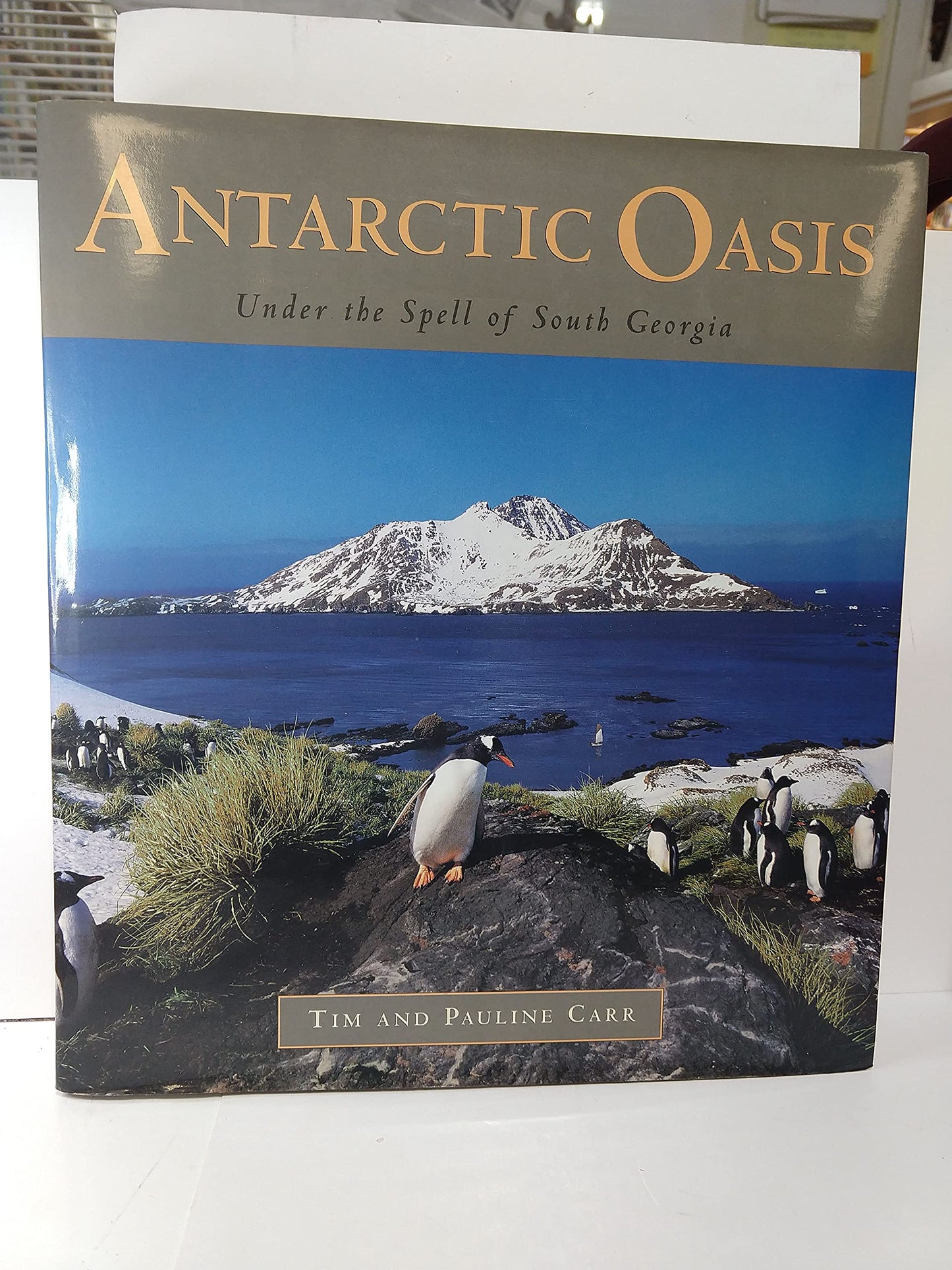 Antarctic Oasis: Under the Spell of South Georgia
