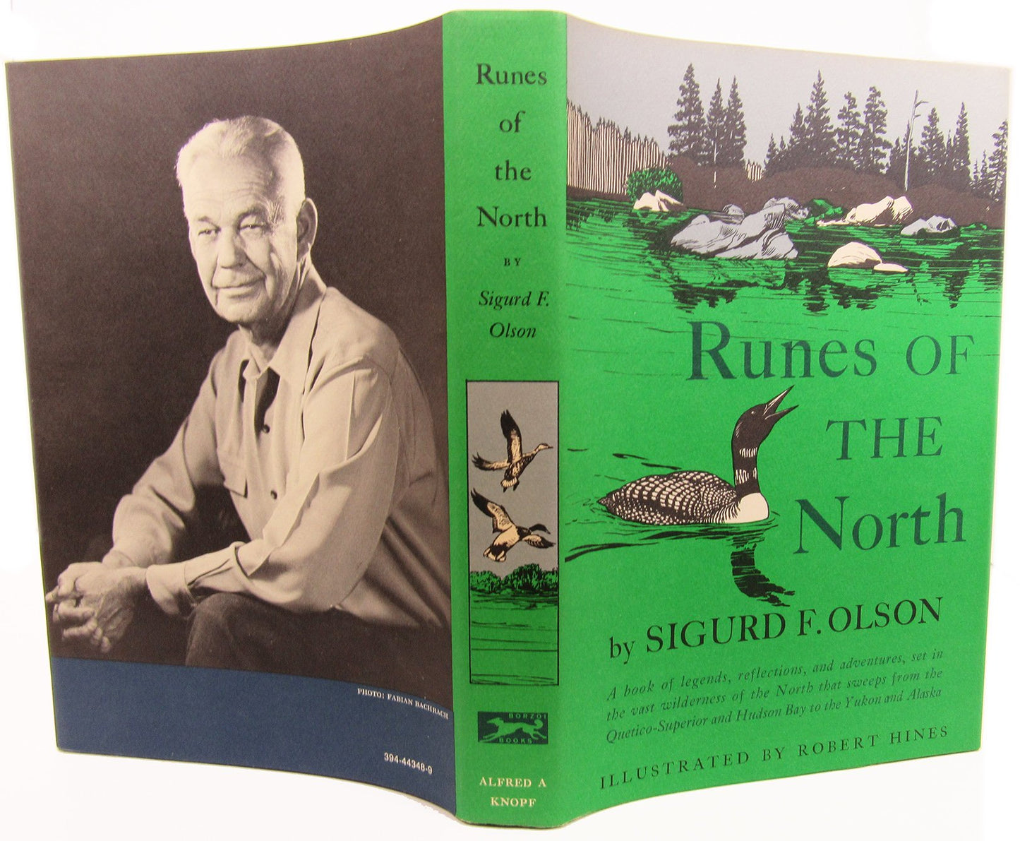 Runes of the North