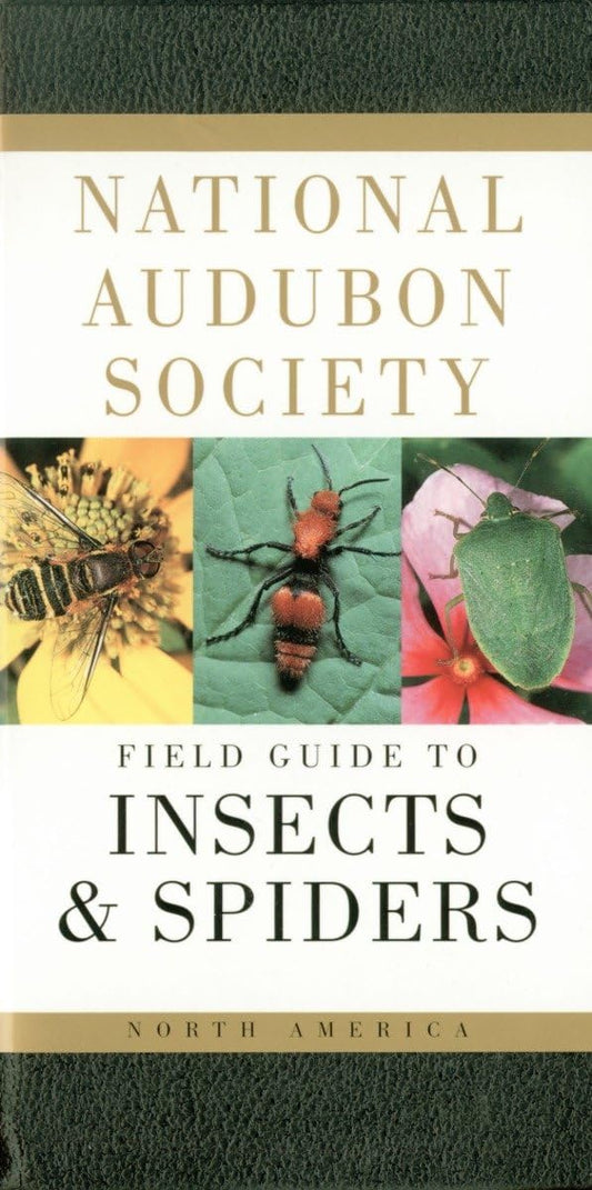 National Audubon Society Field Guide to Insects and Spiders: North America (National Audubon Society Field Guides) - 349