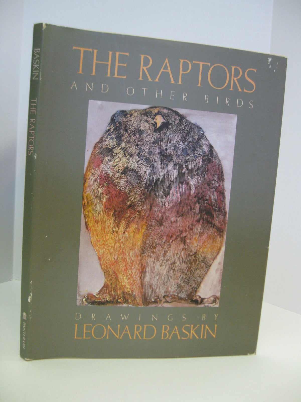 The Raptors and Other Birds