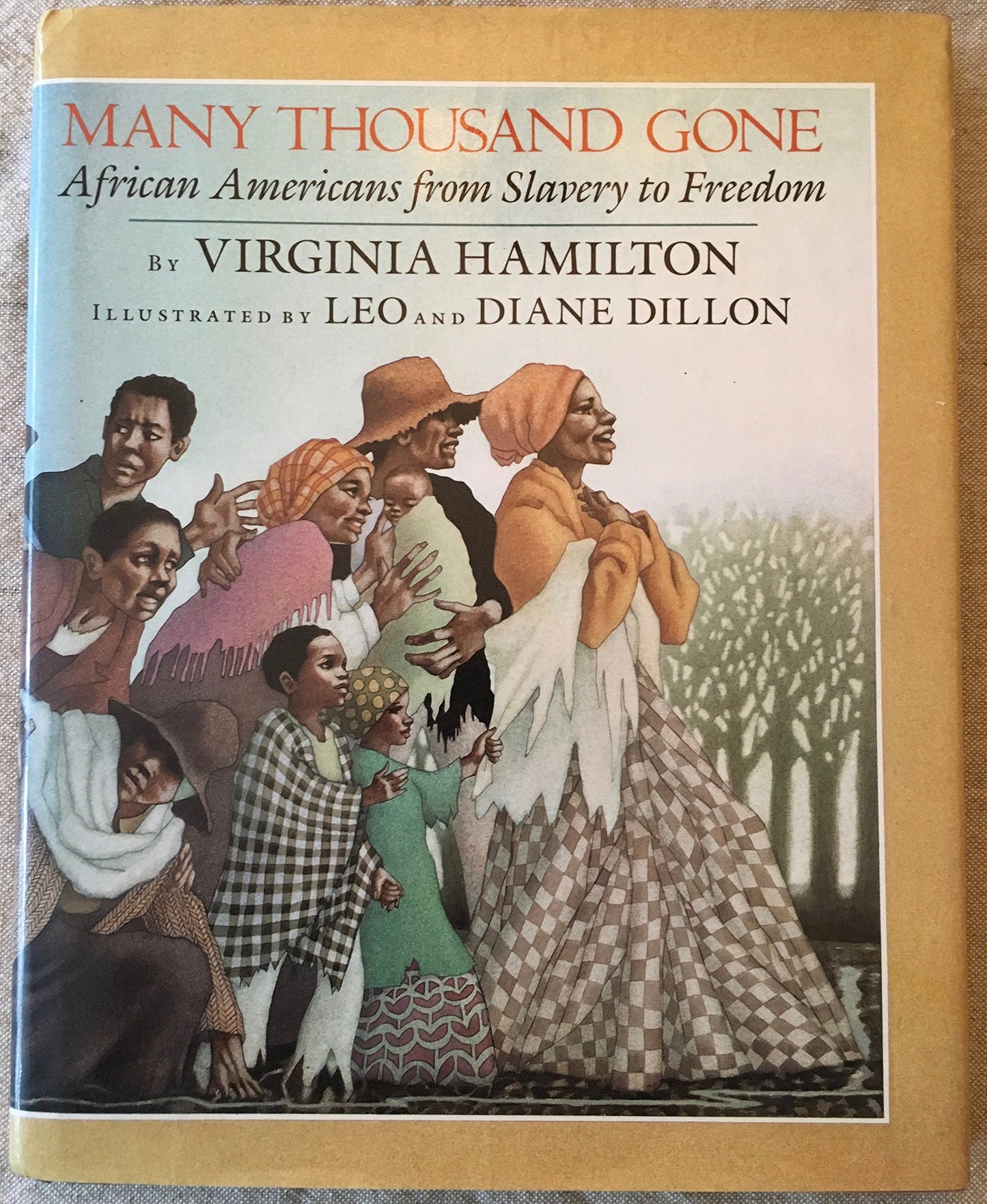 Many Thousand Gone: African Americans from Slavery to Freedom