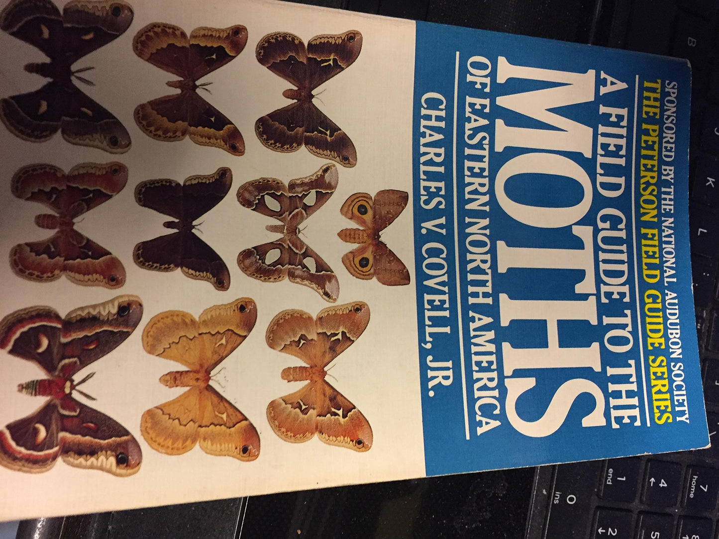 A Field Guide to Moths Eastern North America (Peterson Field Guide Series)