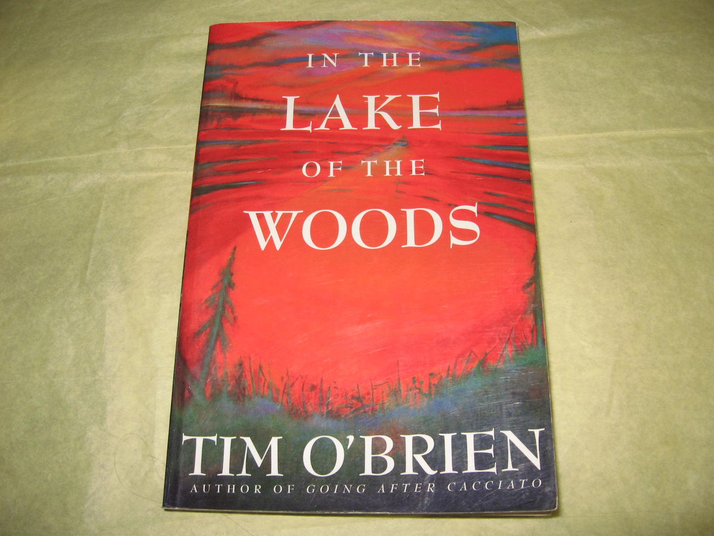 In the Lake of the Woods