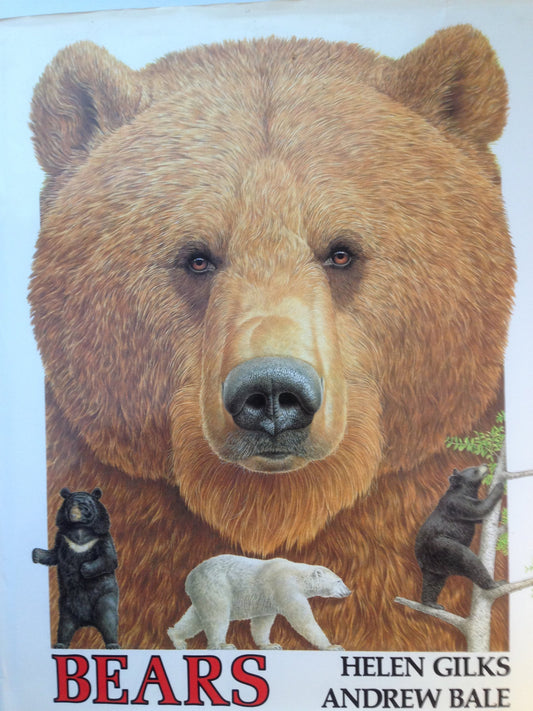 Bears