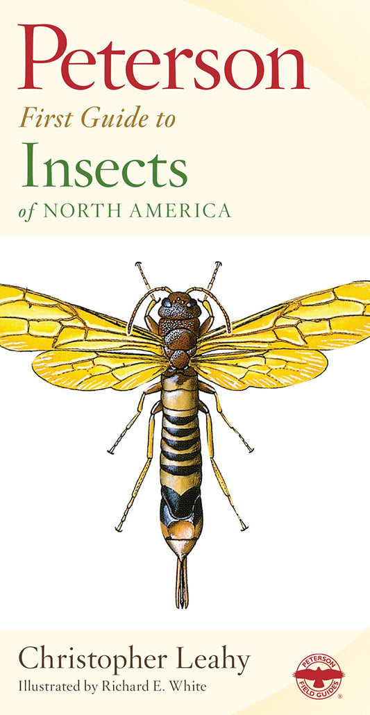 Peterson First Guide To Insects Of North America - 5812