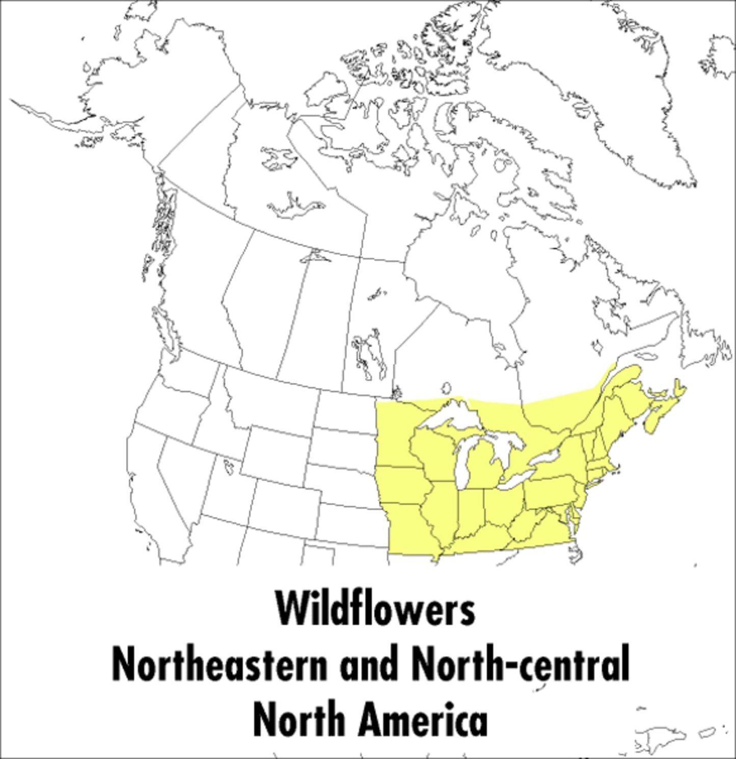 A Peterson Field Guide To Wildflowers: Northeastern and North-central North America (Peterson Field Guides) - 4753