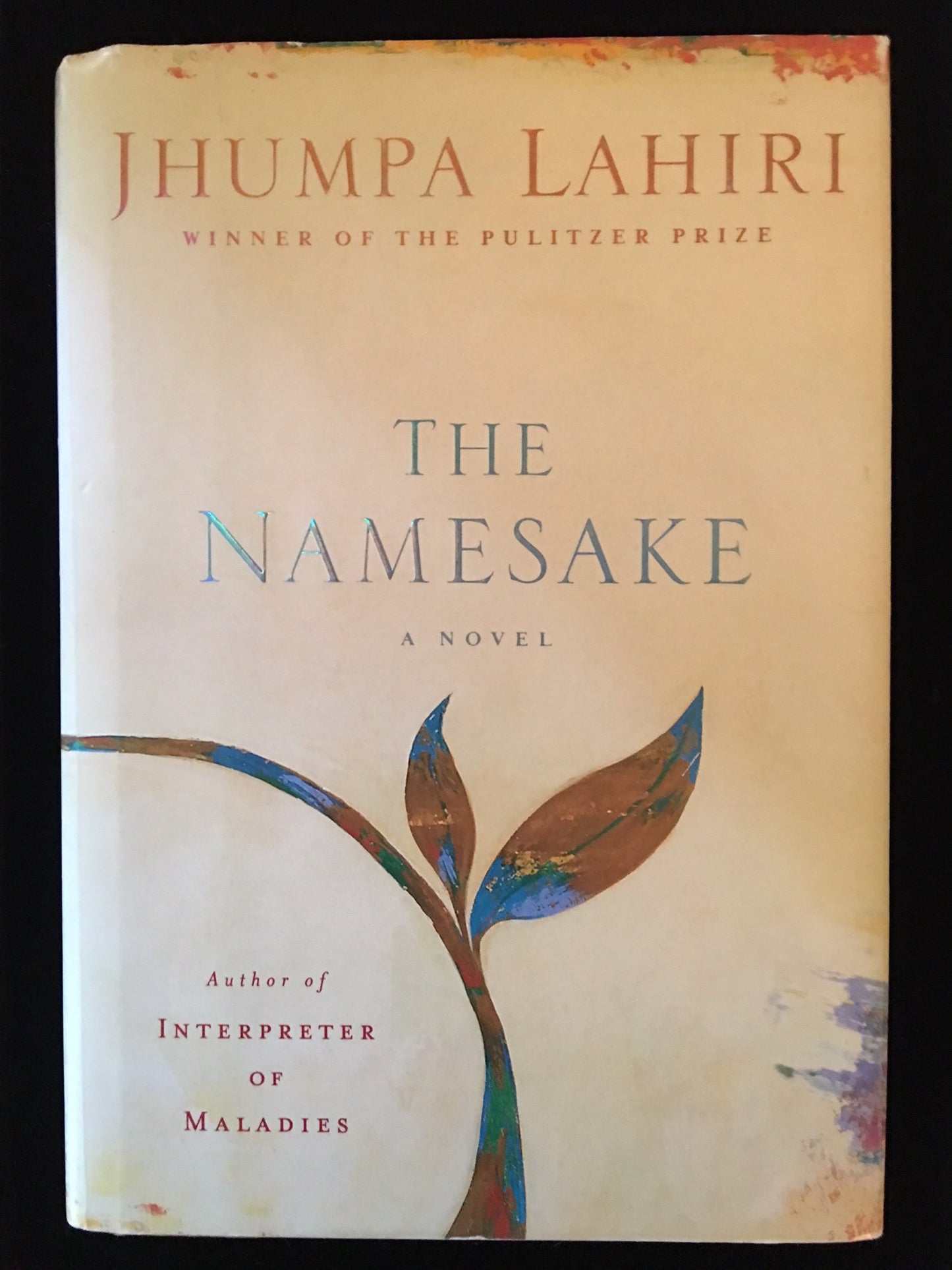 THE NAMESAKE