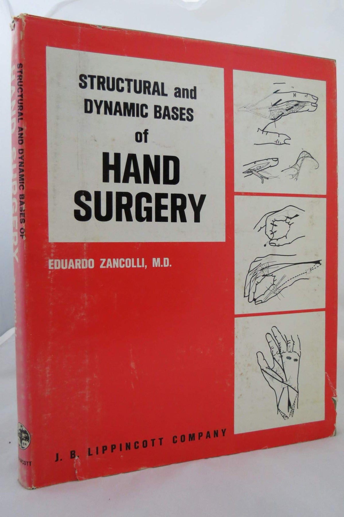 Structural and dynamic bases of hand surgery