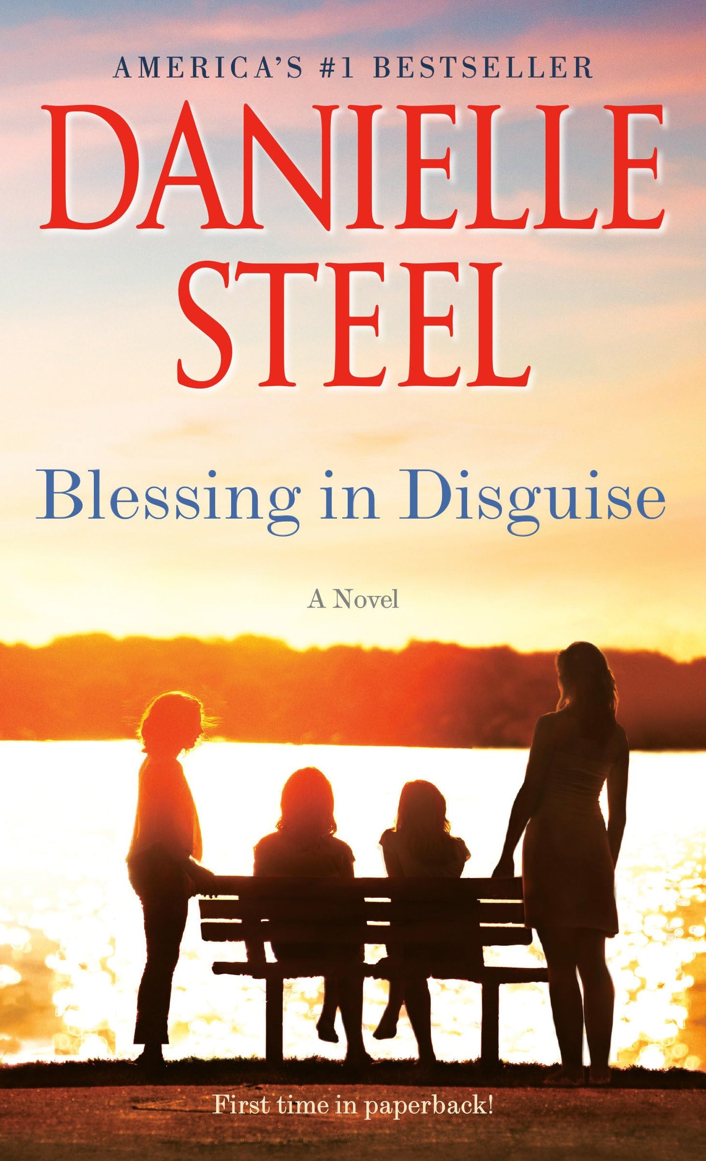 Blessing in Disguise: A Novel - 4481