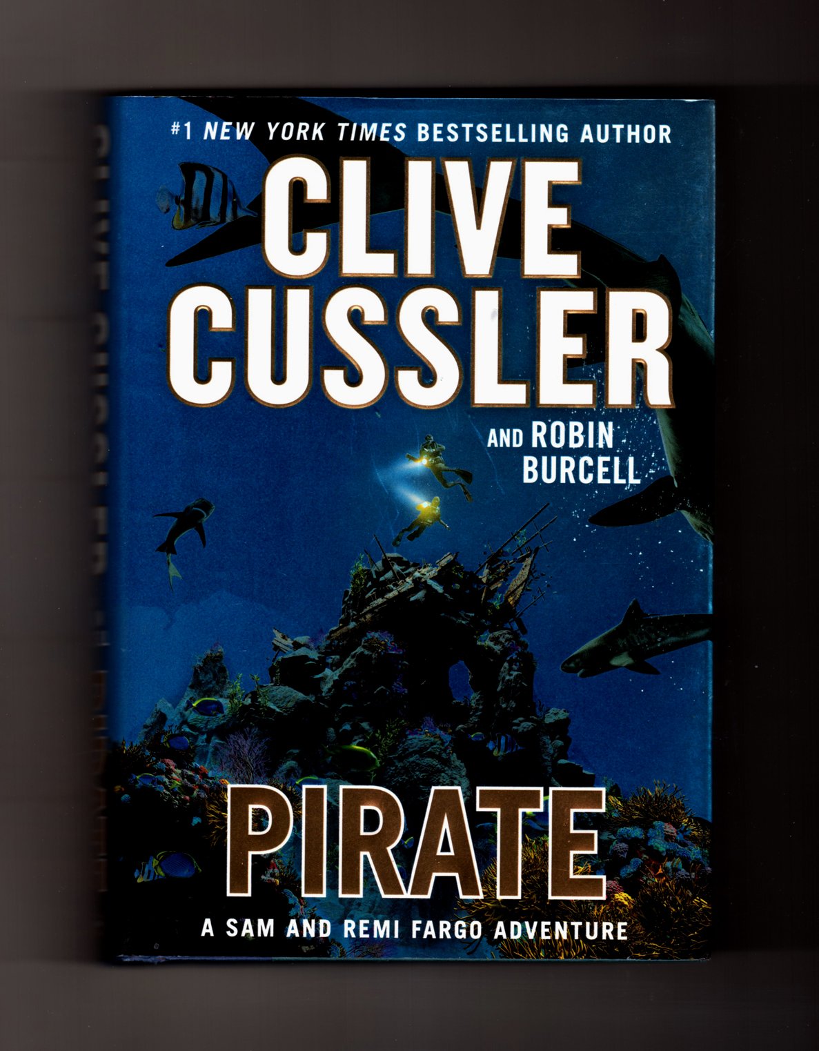 Pirate (A Sam and Remi Fargo Adventure)