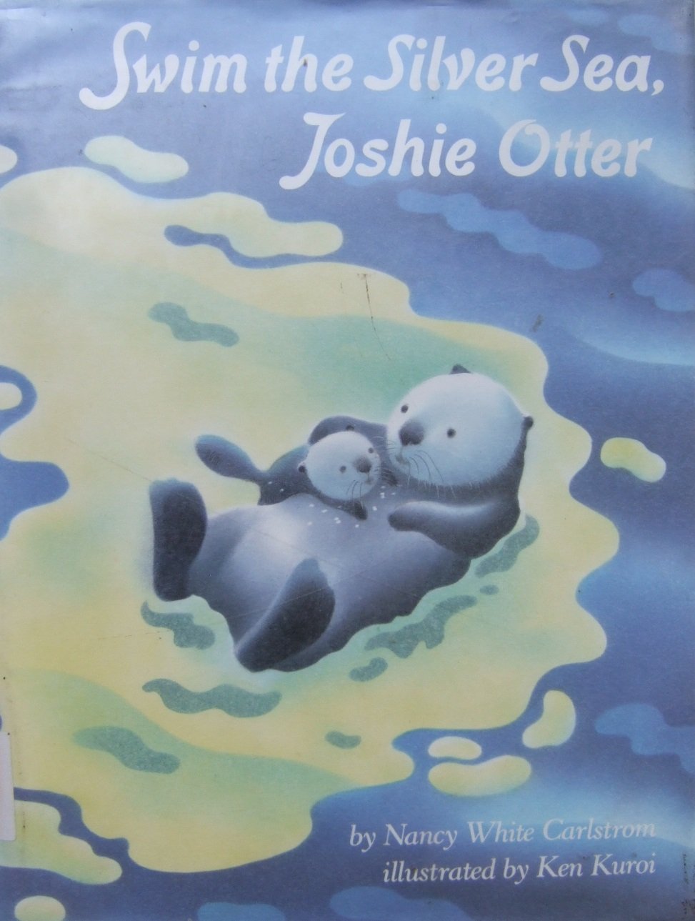 Swim the Silver Sea
