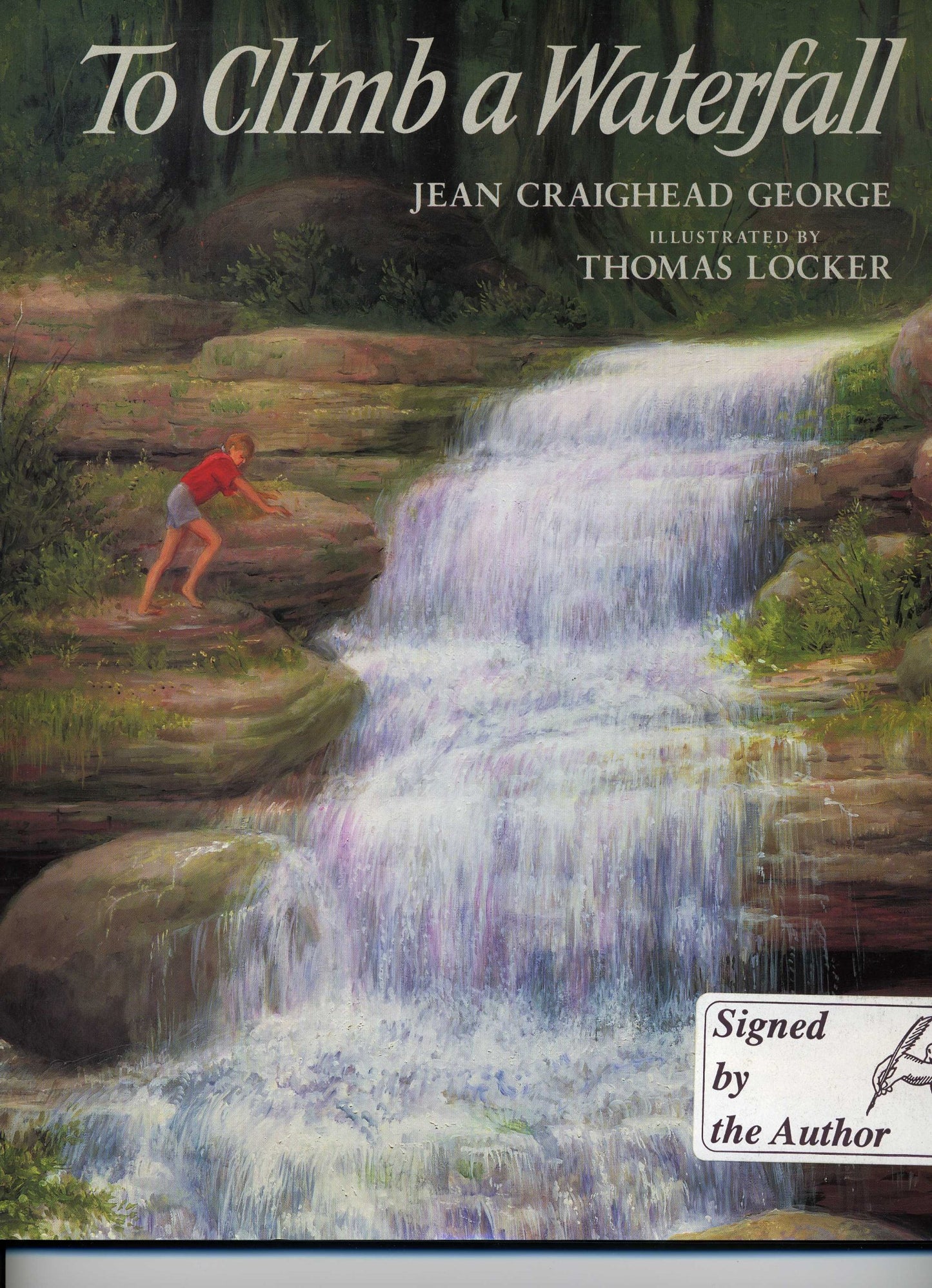 To Climb a Waterfall